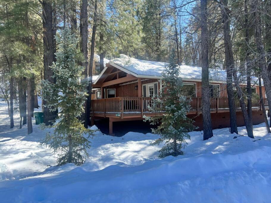 The Bluejay Cabin At Munds Park, Az! سيدونا المظهر الخارجي الصورة