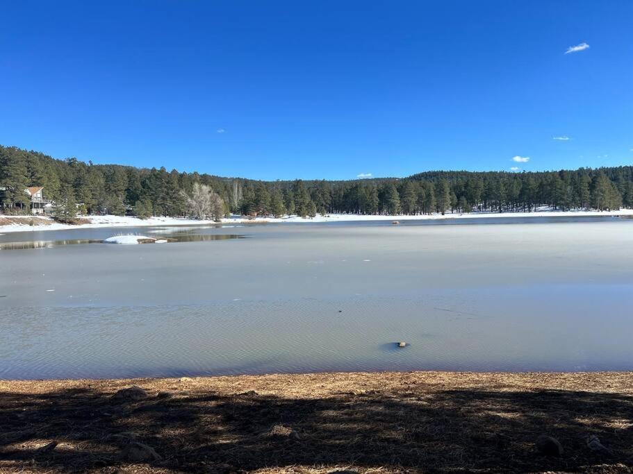 The Bluejay Cabin At Munds Park, Az! سيدونا المظهر الخارجي الصورة