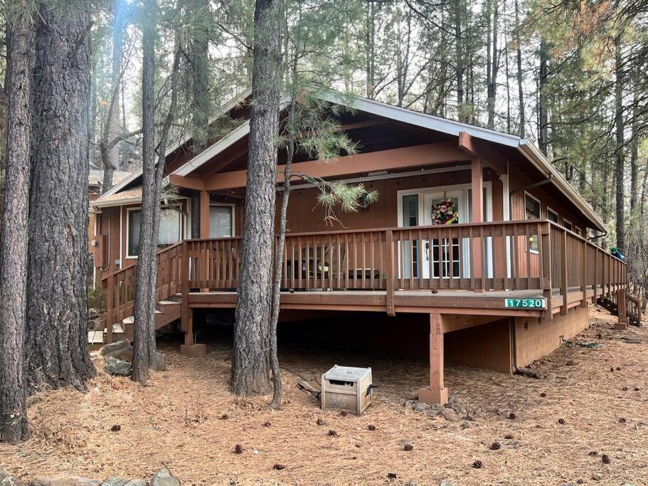 The Bluejay Cabin At Munds Park, Az! سيدونا المظهر الخارجي الصورة