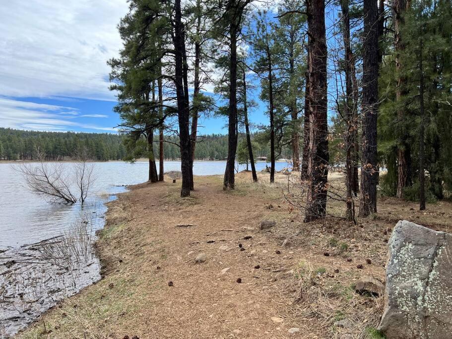 The Bluejay Cabin At Munds Park, Az! سيدونا المظهر الخارجي الصورة